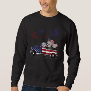 Sudadera Fuegos artificiales de la bandera estadounidense d