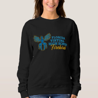 Sudadera Fuegos artificiales en Florida Virtual High School