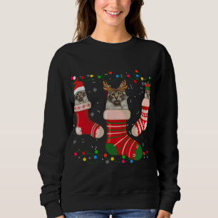 Sudadera Fun Maine Navidades repartiendo brújula jacta navi
