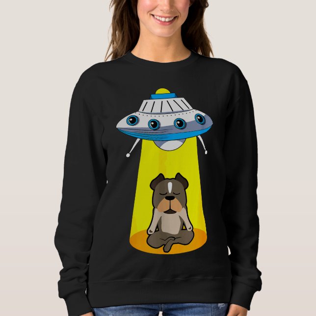 Sudadera Funny Ufo Alien Capturando Pitbull (Anverso)