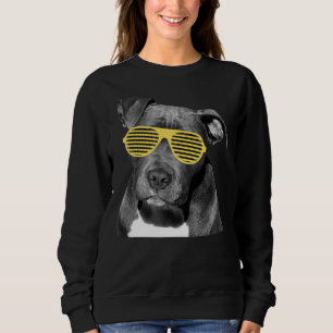 Sudadera Gafas Pit Bull &amp