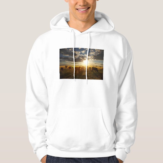 Sudadera Ganado en el campo, puesta del sol (Anverso)