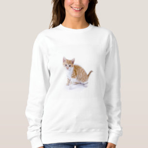 Sudadera gatito bonito