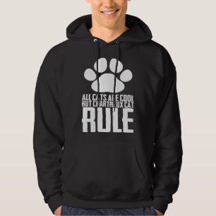 Sudadera Gatito Chartreux  madre Chartreux  padre Chartreux