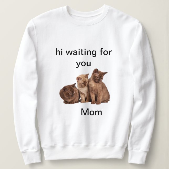 Sudadera gatitos solitarios esperando a mamá (Anverso del diseño)