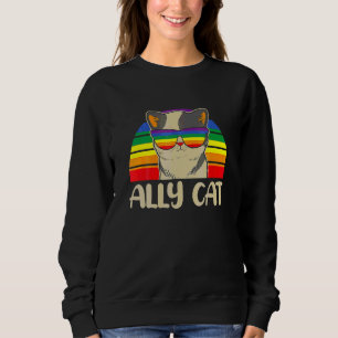 Sudadera Gato Aliado Bandera Lgb Gay Arcoíris Orgullo Chico