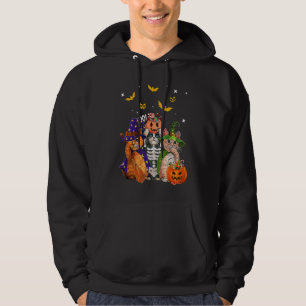Sudadera Gato Bruja asusta Calabaza Bat Skeleton Magical Ha