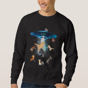 Sudadera Gato De Galaxia Cuta De La Mascota Gráfica De Gati