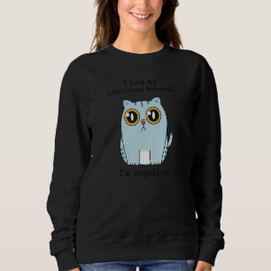 Sudadera Gato Divertido Frase Sarcástica Tuve Mi Paciencia