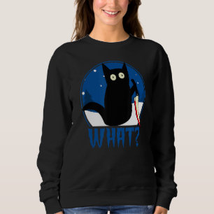Sudadera Gato Qué Gato Negro Con Ropa De Gato De Invierno D