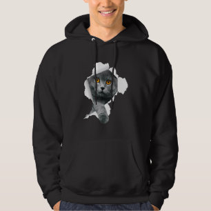 Sudadera Gatos de pelo frío de Escocia Ropa de gatito