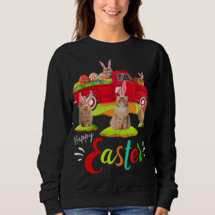 Sudadera Gatos persas chiflados montando Camión Rojo Felice