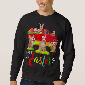 Sudadera Gatos persas chiflados montando Camión Rojo Felice