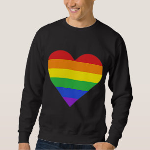 Sudadera Gay del mes del orgullo LGBT sutil arcoiris stripe