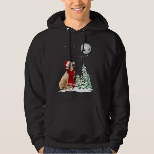 Sudadera Golden Retriever Mirando A Santa