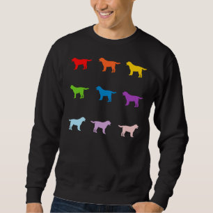 Sudadera Golden Retriever Multi Color