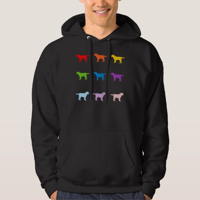 Sudadera Golden Retriever Multi Color (Anverso)