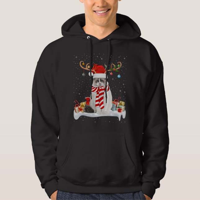 Sudadera Gracioso gato de Ragdoll Ragdoll con luz de reno d (Anverso)