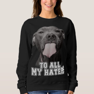 Sudadera Gracioso Pitbull Para Todos Mis Odiadores Pitbull 