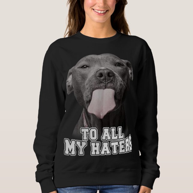 Sudadera Gracioso Pitbull Para Todos Mis Odiadores Pitbull  (Anverso)