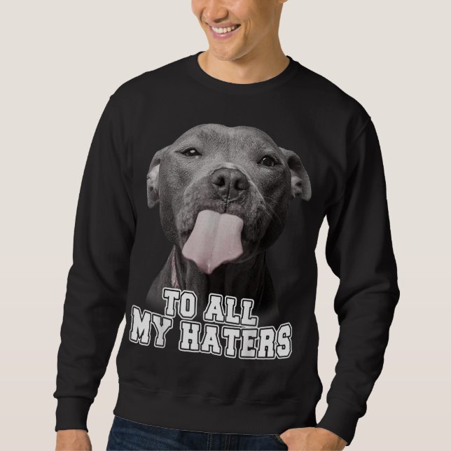 Sudadera Gracioso Pitbull Para Todos Mis Odiadores Pitbull  (Anverso)