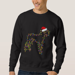 Sudadera Gran Perro Danés Navidad iluminando Santa Hat Gran