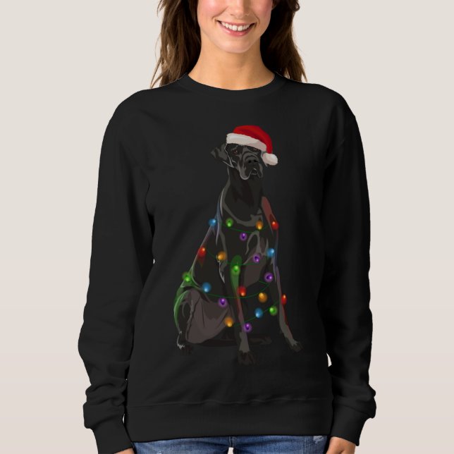 Sudadera Grandes Navidades daneses iluminan el perro de Nav (Anverso)