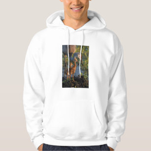 Sudadera Grulla canadiense con crías, Florida