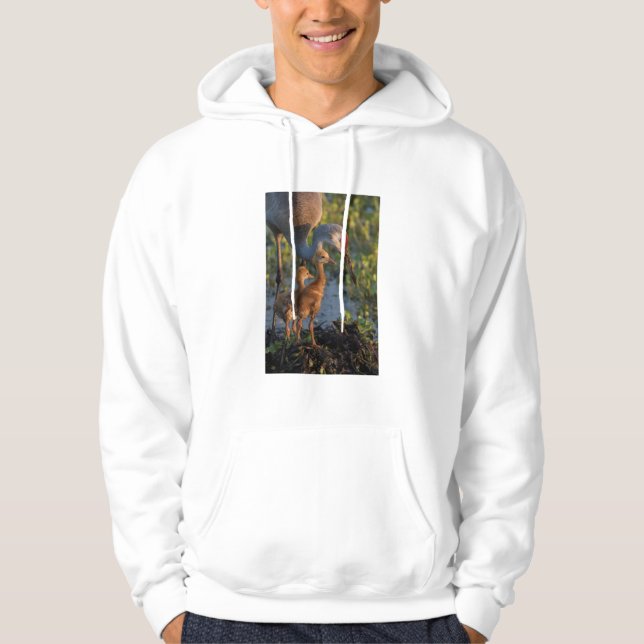 Sudadera Grulla canadiense con crías, Florida (Anverso)