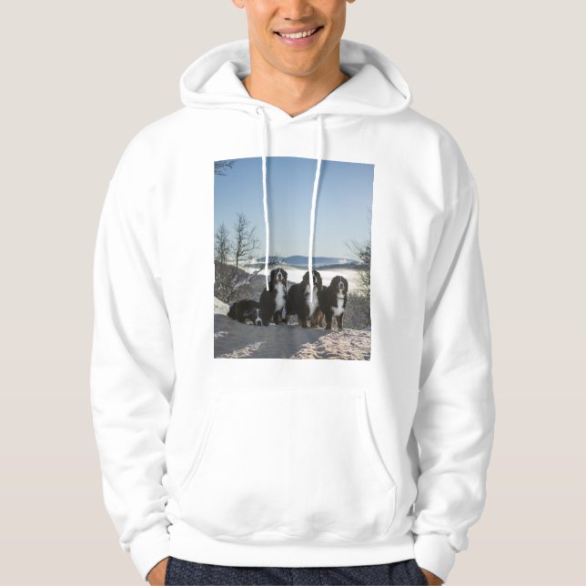 Sudadera grupo de perro de montaña bernés (Anverso)