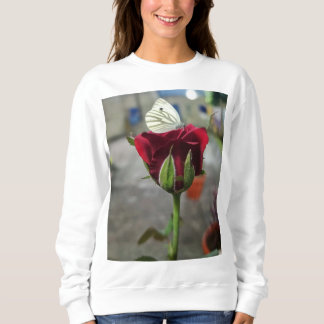 Sudadera Grupo de Satyam