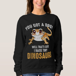 Sudadera Guay I Levantar Dragones con barba de dinosaurios