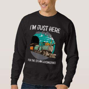 Sudadera Guay Steam Locomotive For Men Women Railtrain