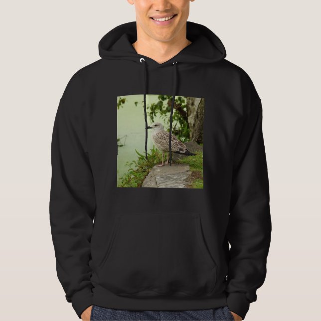 Sudadera Gull (Anverso)