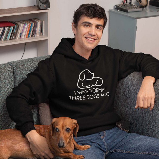 Sudadera Hace tres perros era normal (I Was Normal Three Dogs Ago Hoodie)