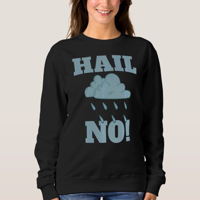 Sudadera Hail No Weather Chaser Meteorología (Anverso)
