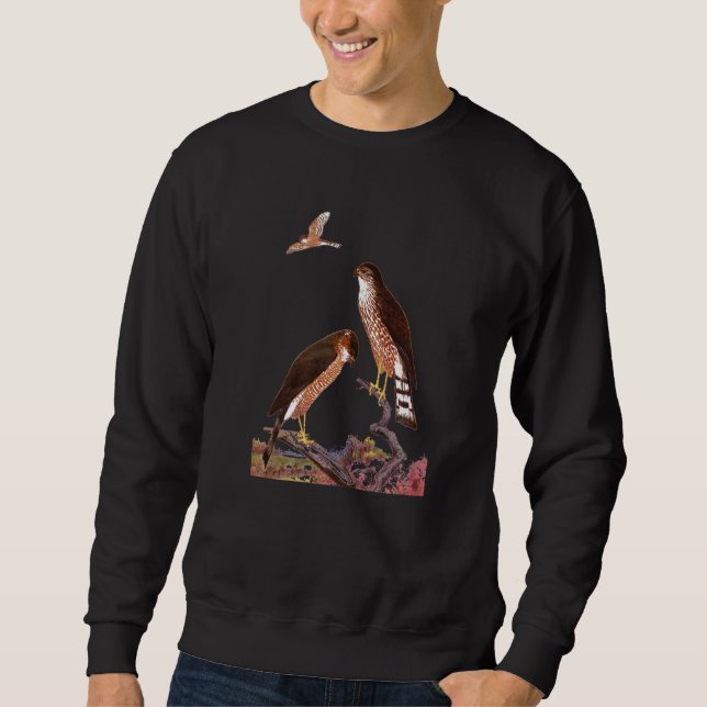 Sudadera Halcón agudo y brillante (Anverso)