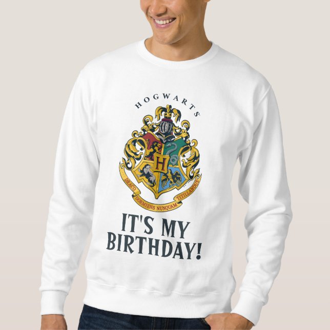 Sudadera Harry Potter | Hogwarts - Es mi cumpleaños (Anverso)