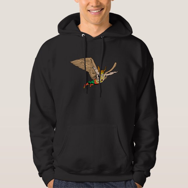 Sudadera Hawkman Flies (Anverso)