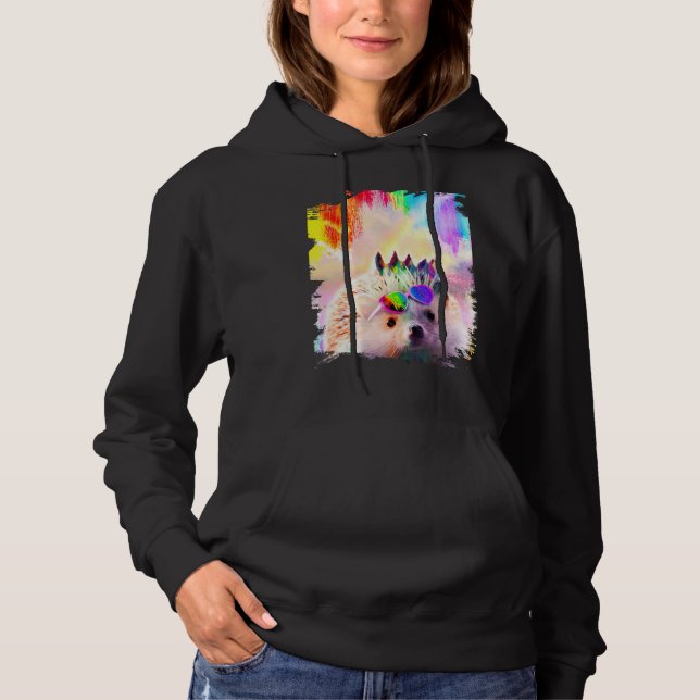 Sudadera Hedgehog Arcoiris Con Gafas De Amor (Anverso)