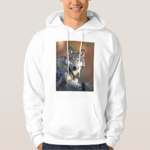 Sudadera Hermoso Lobo