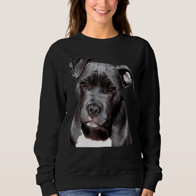 Sudadera Hermoso Perro de Pitbull Divertido y Amigable (Anverso)