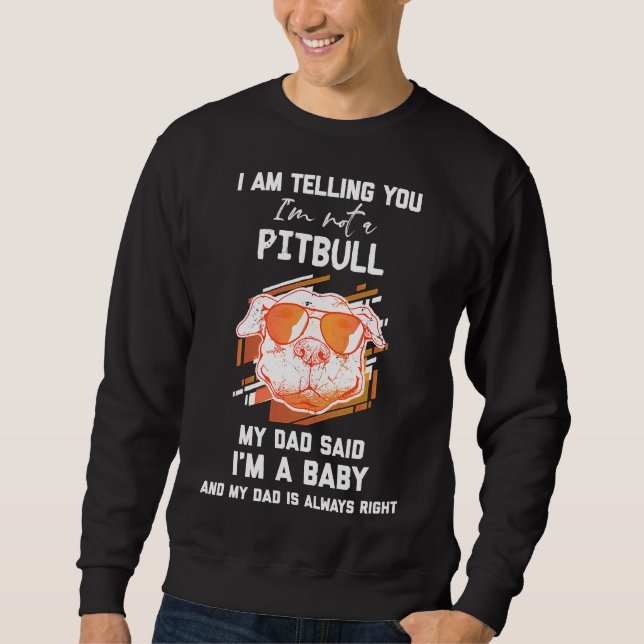 Sudadera Hombres, Te Digo Que No Soy Un Pitbull Gracioso. (Anverso)