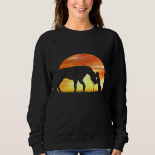Sudadera Horse Love Sundown Shadow Chica Con Caballo