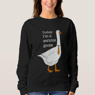 Sudadera Hoy soy un burro burro y tonto joso, gracioso