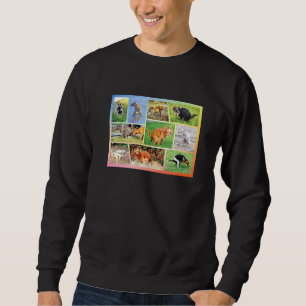 Sudadera Humor Perro del dueño del Mascota de Chihuahua, qu