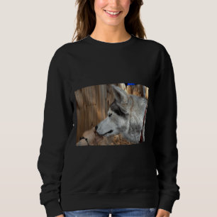 Sudadera Husky Portrait Premium