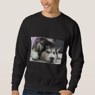 Sudadera Husky siberiano 32