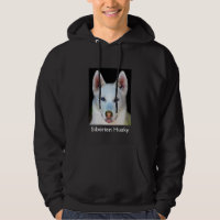 Husky siberiano increíble