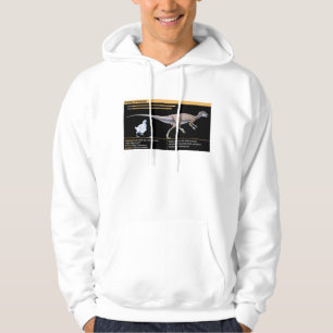 Sudadera Hypsilophodon - Biología Dinosaurio Jurásico
